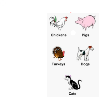 <p><strong>3 Classifications of GI Systems</strong></p><ul><li><p>_________</p></li><li><p><strong><mark data-color="blue" style="background-color: blue; color: inherit;">1 stomach</mark></strong></p><ul><li><p>Chickens</p></li><li><p>Pigs</p></li><li><p>Turkeys</p></li><li><p>Dogs</p></li><li><p>Cats</p></li></ul></li></ul><p></p>