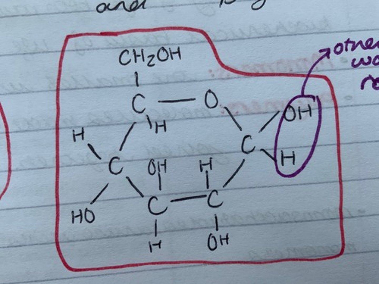 knowt flashcard image