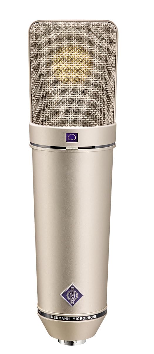 <p>What kind of microphone is this?</p>