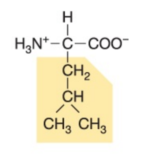 <p>Non-polar, hydrophobic</p>