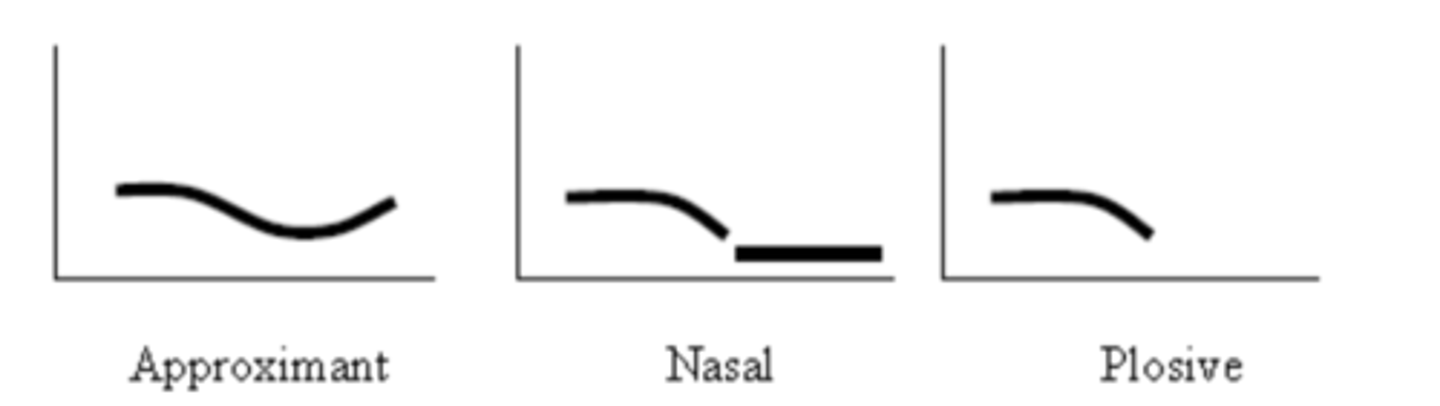 <p>low frequencies</p>