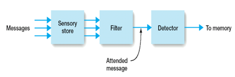 <p>Broadbent’s Filter Theory</p>