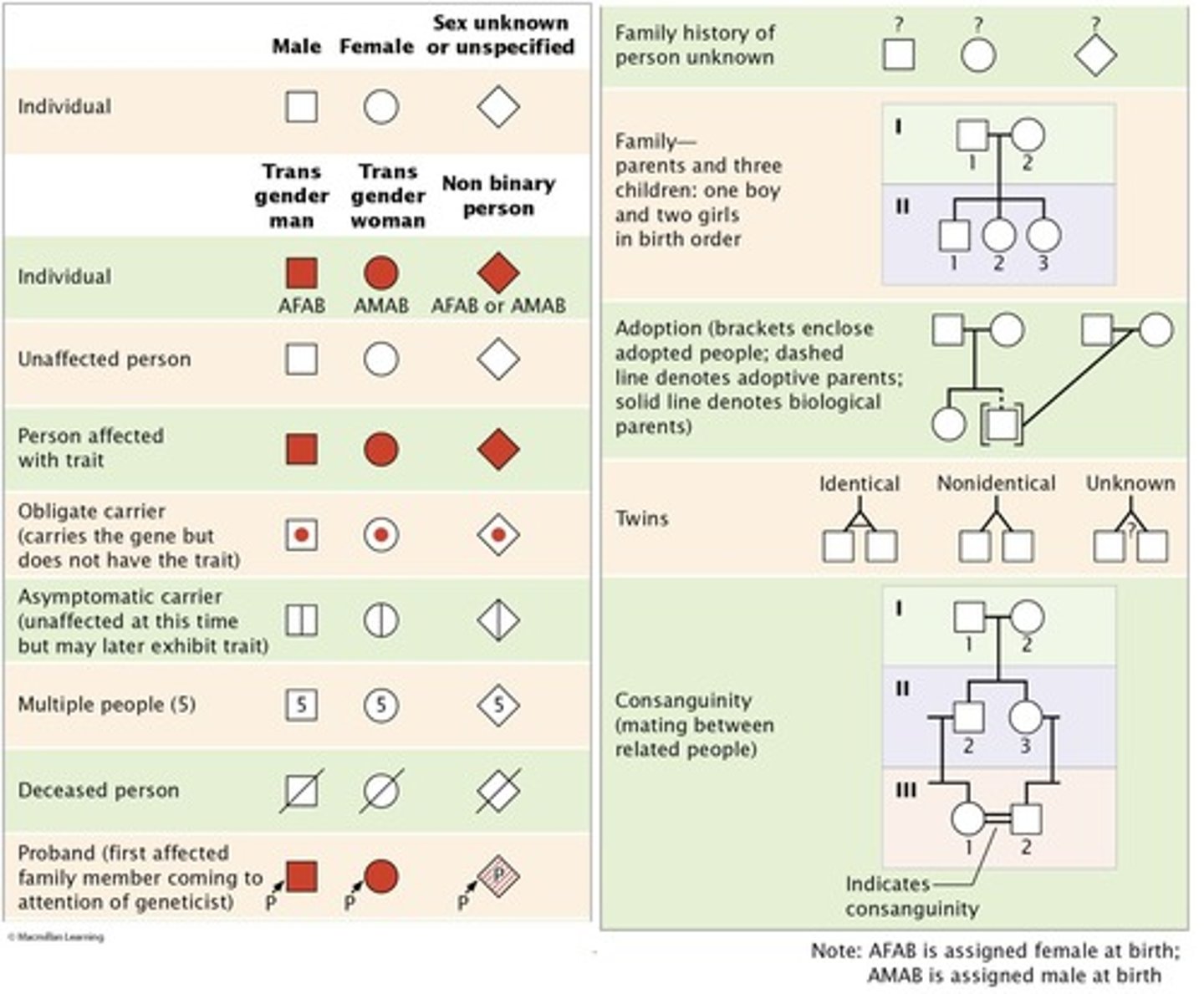 <p>Pictorial representation of a family history; a family tree that outlines the inheritance of one or more characteristics.</p>