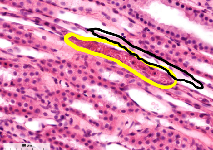 <p>What’s in black?</p>