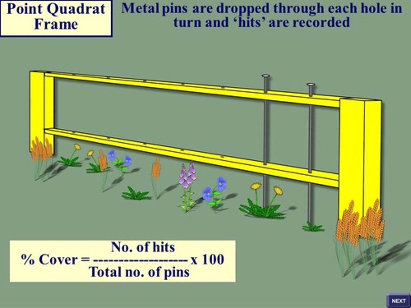 <p>- pin dropped through holes in a horizontal bar, each species touched by a pin is counted</p><p>Pros:</p><p>- good for dense vegetation</p><p>- less subjective when calculating % cover</p><p>Cons:</p><p>- bad for plants larger than the frame</p><p>- overestimates tall, thin leaved plants</p>