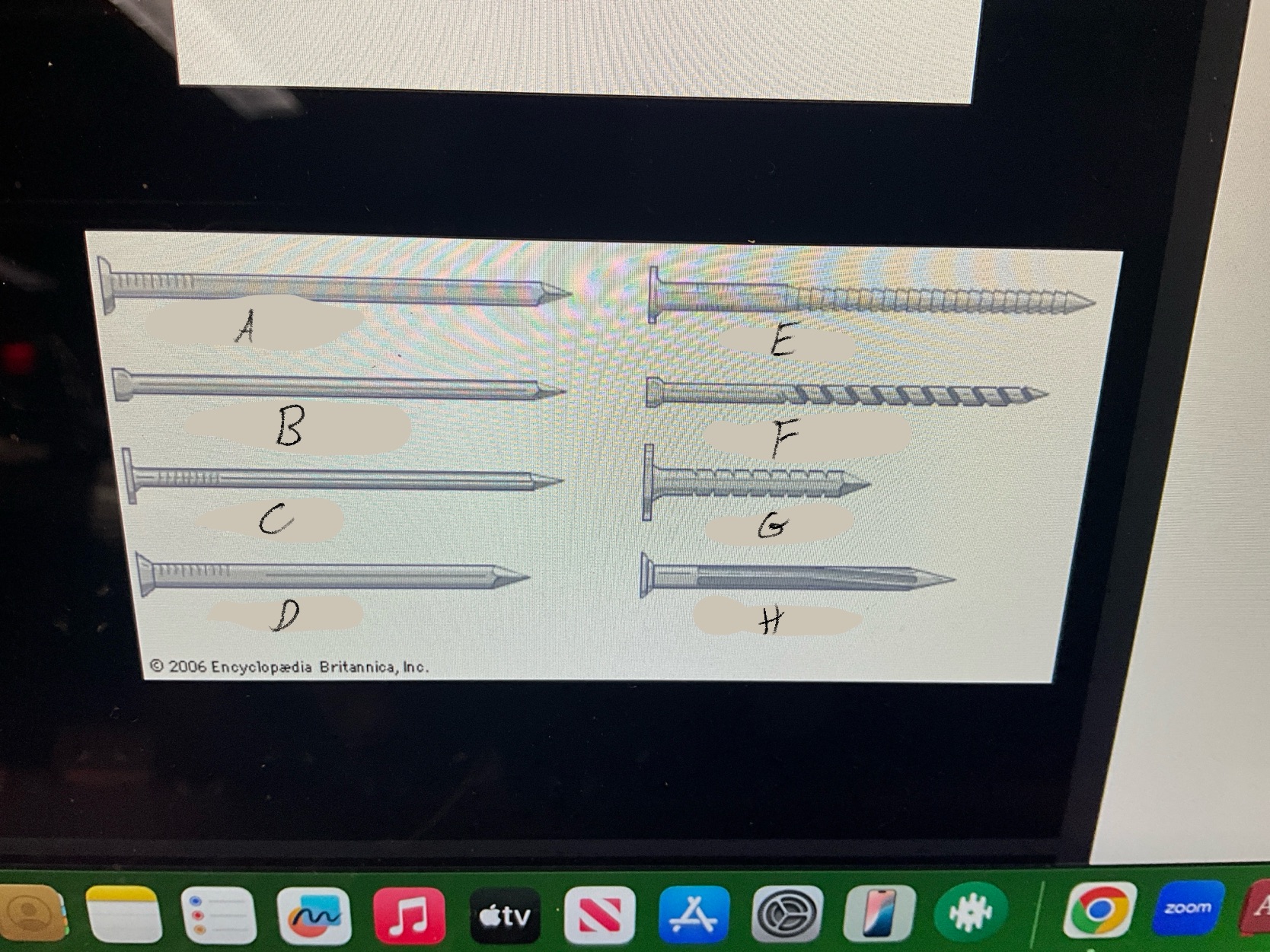 <p>What type of nail is D?</p>