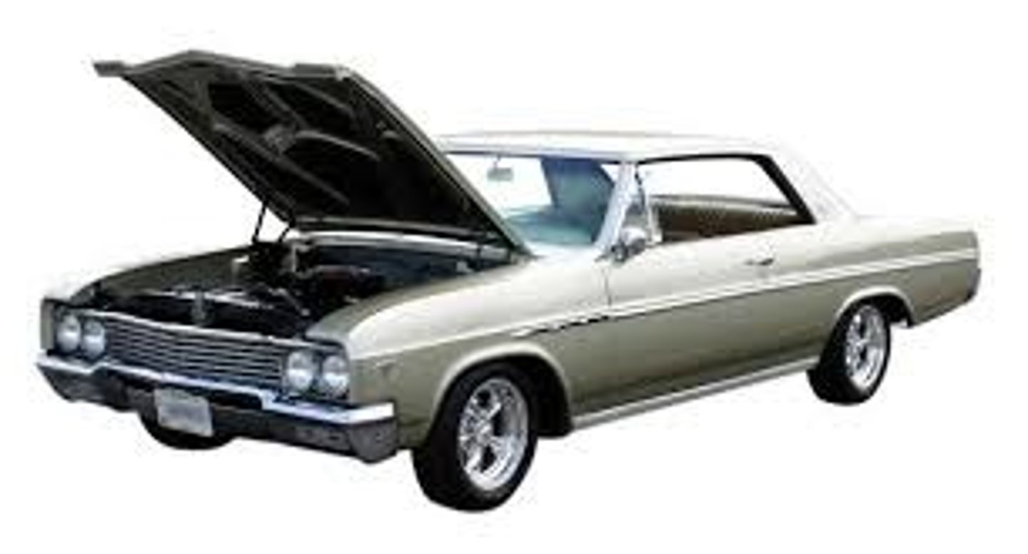 <p>hood (car)</p>