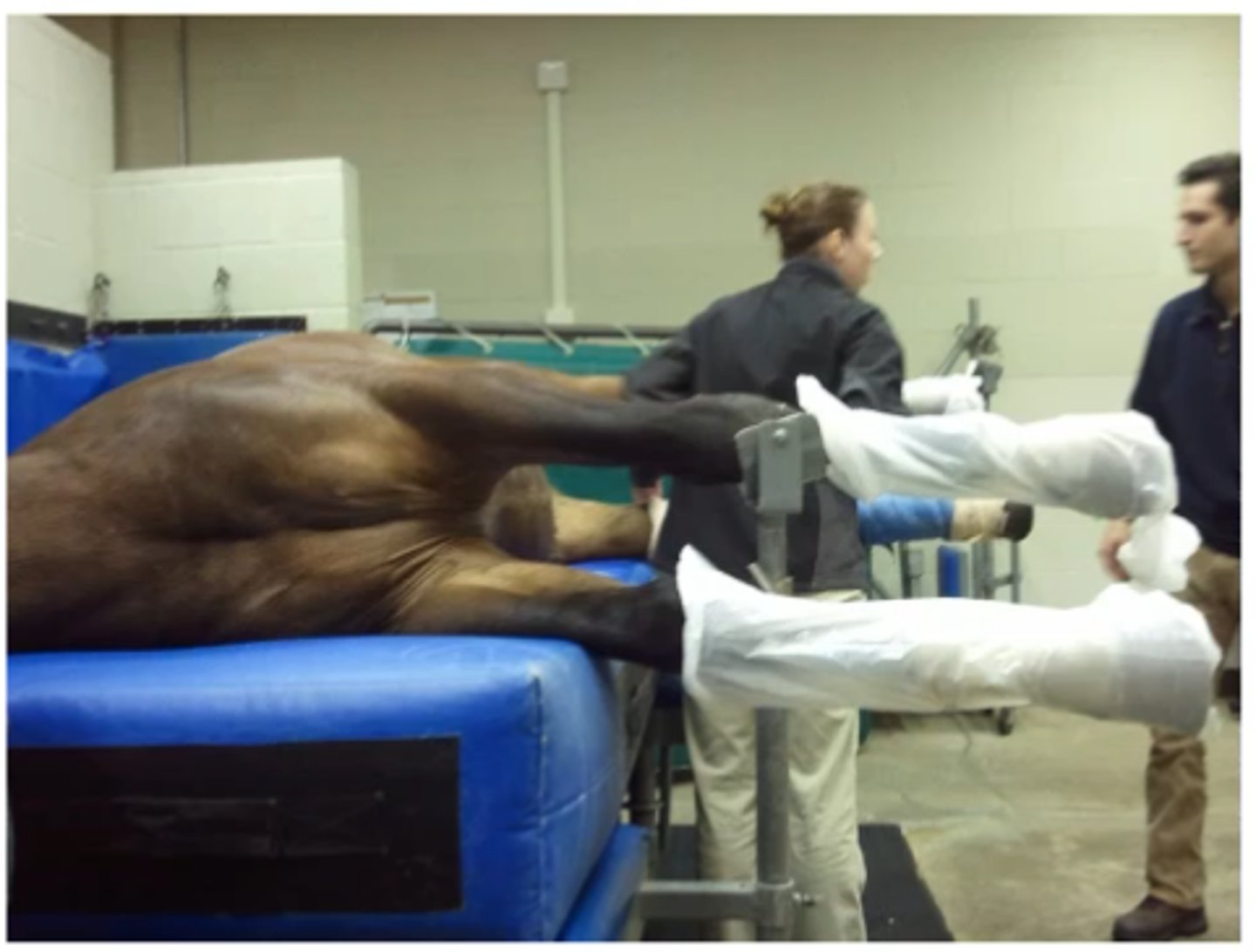 <p>What ever the horse looks like standing up, aim to keep it in that "neutral" position, and pull the down legs forward</p>