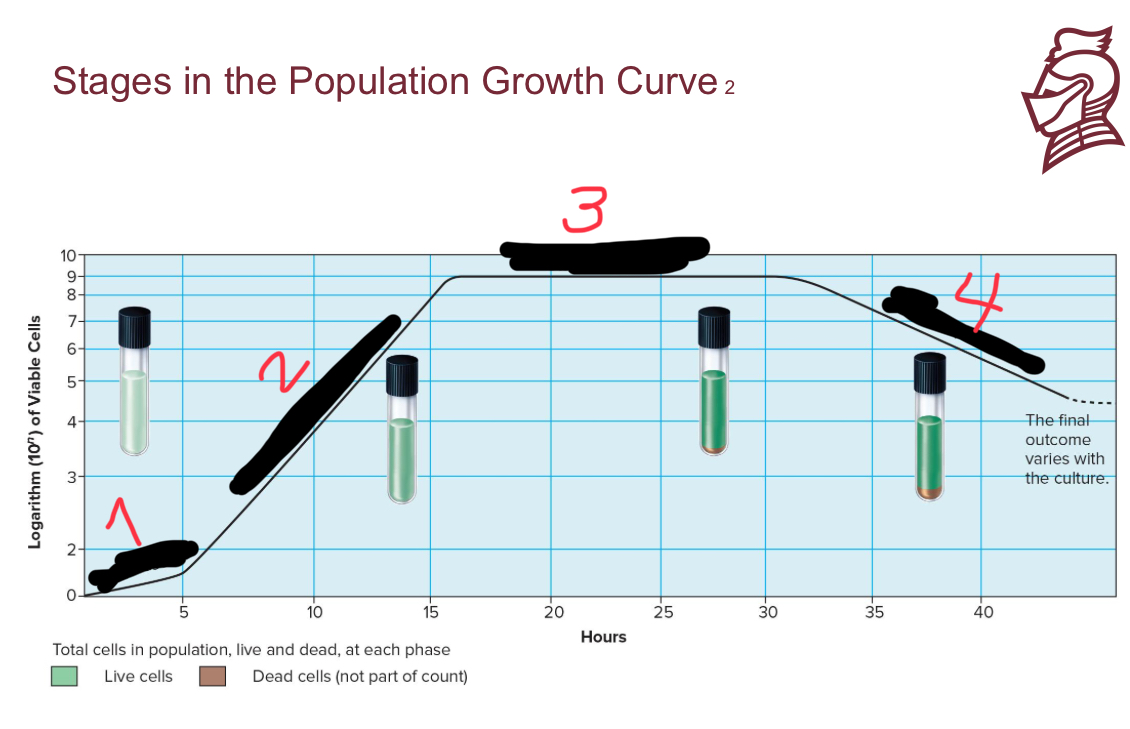<p>What is the name of number 4</p>