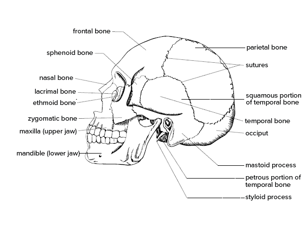 <p>Name all</p>