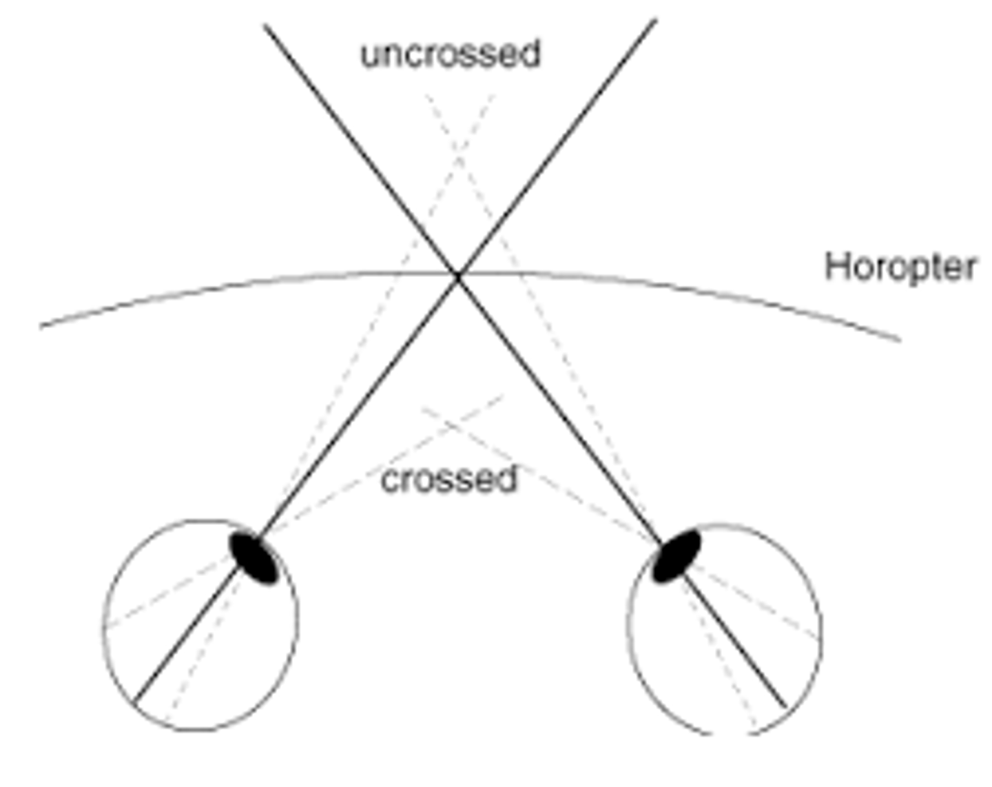 <p>and the A's are together, the inner circle appears to float closer due to the crossed disparity (nasal target displacement--&gt; temporal retinal displacement---&gt; crossed retinal disparity</p>