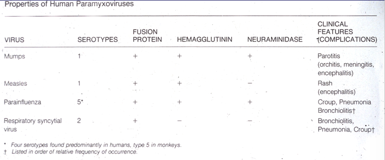 Paramyxoviruses