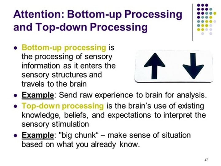 <p>information processing guided by higher-level mental processes, as when we construct perceptions drawing on our experience and expectations. (Myers Psychology for AP 2e p. 152)</p>