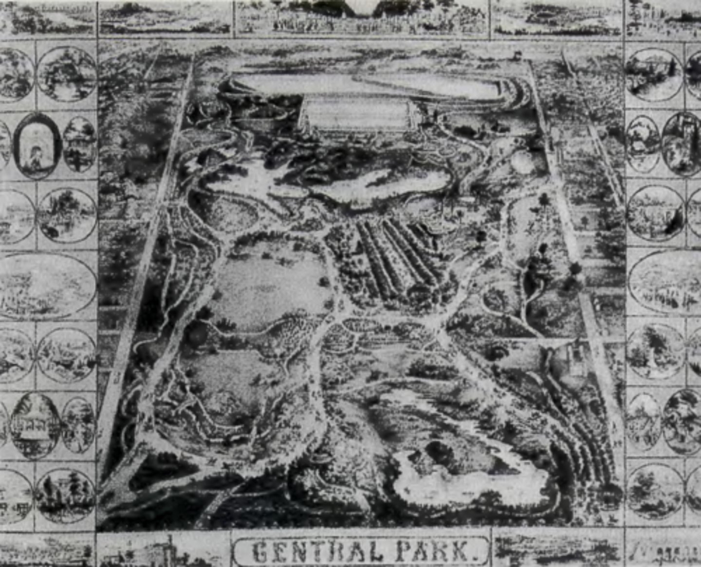 <p>--textbook fig. 8.6, which lists John Bachmann as the artist who drew the lithograph—but it's the park's landscape architects Olmsted and Vaux whose names I want you to know. --</p>