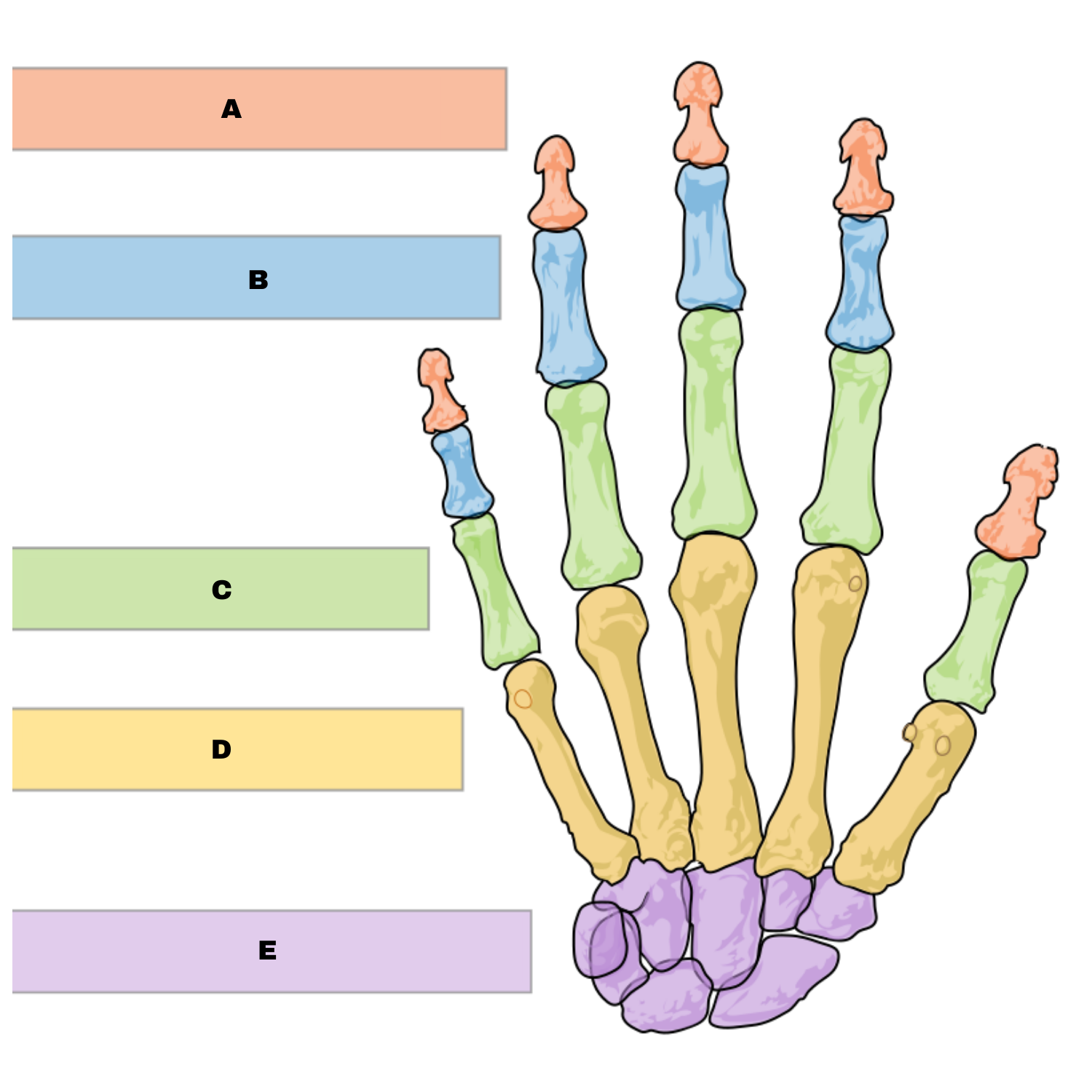 <p>Label D</p>