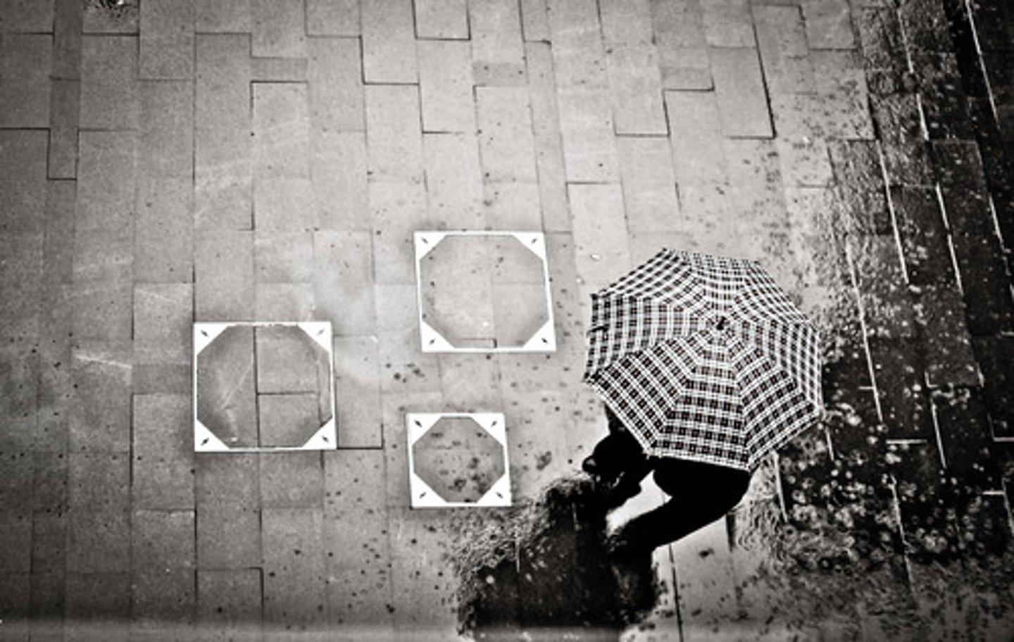 <p>está lloviendo</p>
