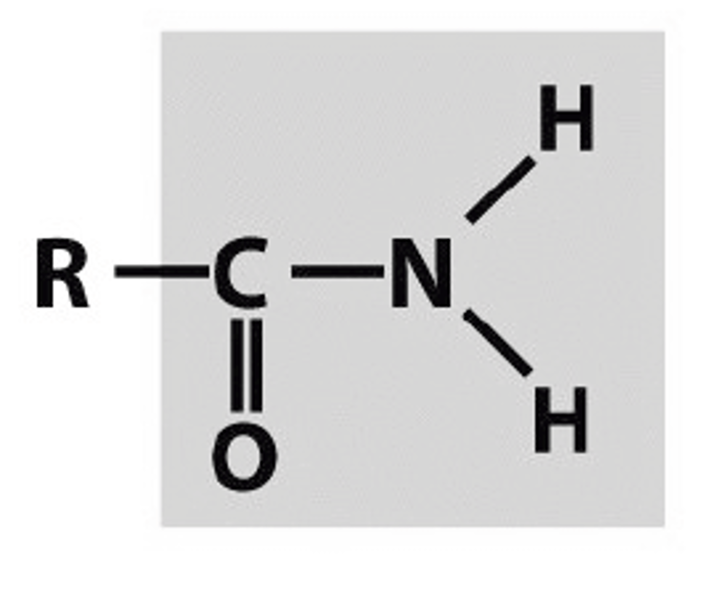 <p>R-C=O-NH2</p>