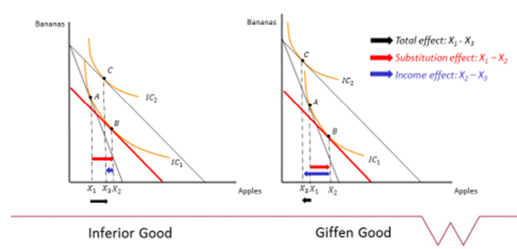 <ul><li><p>The direction of the total effect depends on what type of good it is; for a normal good, the substitution and income effect will both be positive </p></li></ul><p></p>