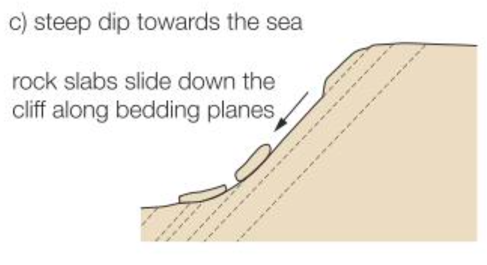 <p>Common to have sloping cliffs</p>