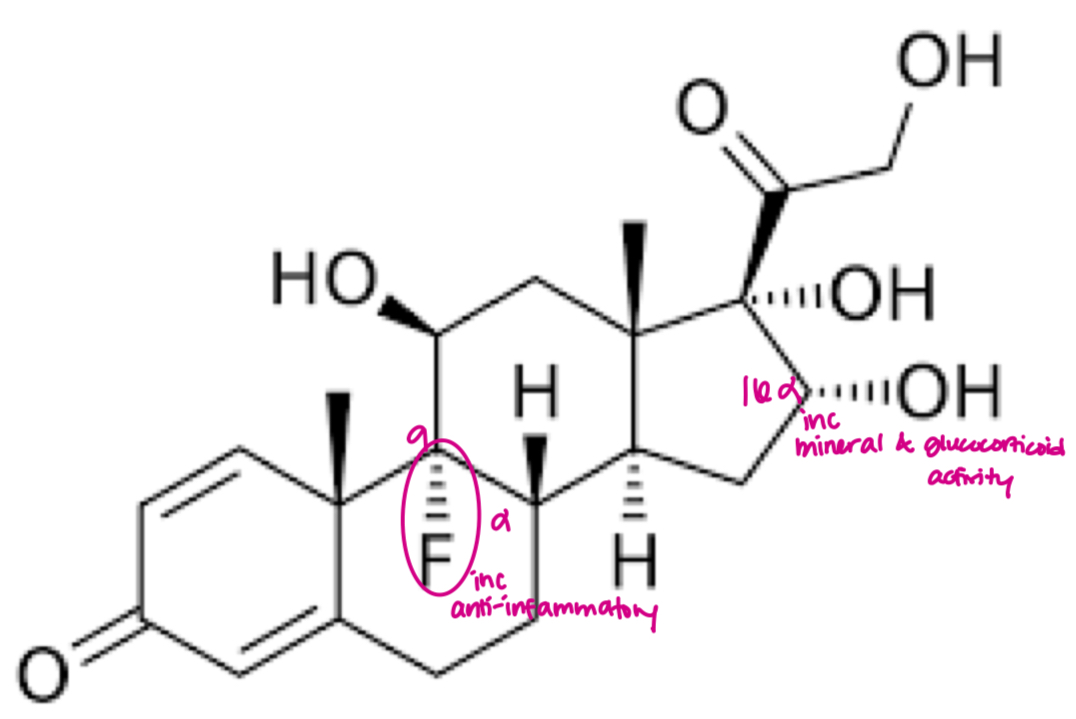<p>- 9a-fluoro group increases the anti-inflammatory potency</p>