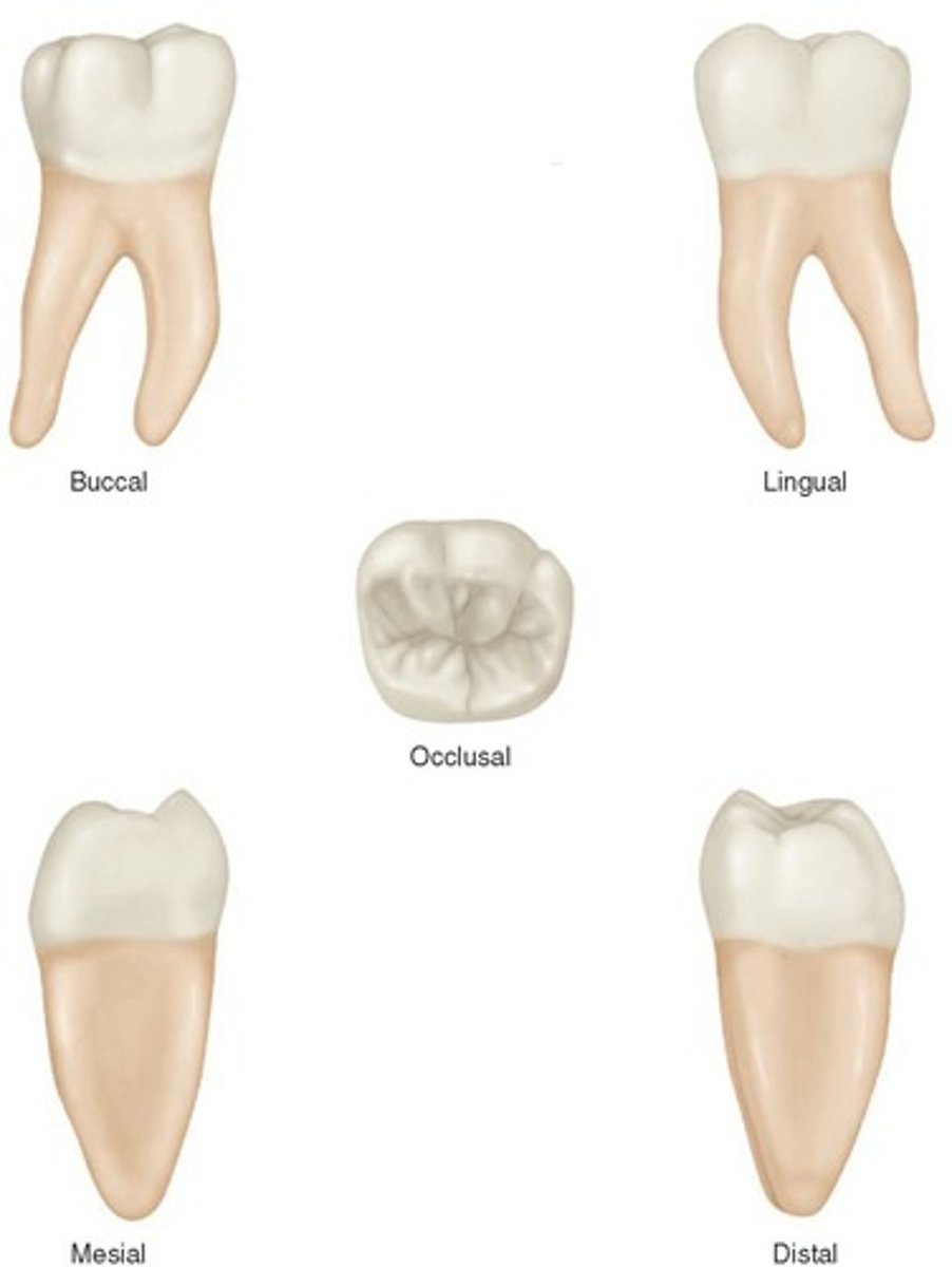 term image