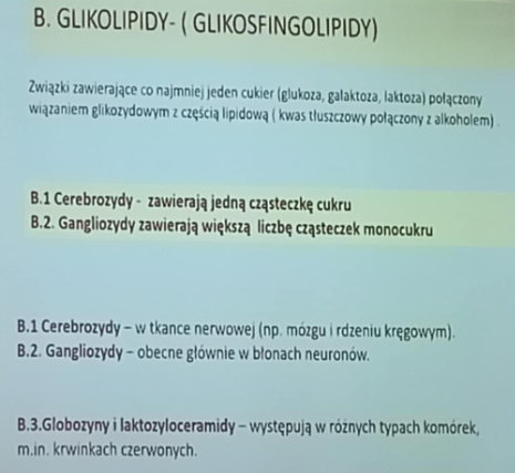 <p>związki zawierające co najmniej jeden cukier (glukoza galaktoza laktoza) połączony wiązaniem glikozydowym z częścią lipidową (kwas tłuszczowy połączony z alkoholem)</p><p></p><p>CEREBROZYDY- mają jedną cząsteczkę cukru i są w tkance nerwowej</p><p>GANGLIOZYDY- mają więcej cząsteczek monocukru głównie w błonach neuronów</p><p></p><p>oba te są w różnych typach komórek np. krwinki czerwone</p>
