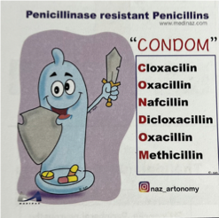 <p>Penicillinase-resistant penicillins</p>