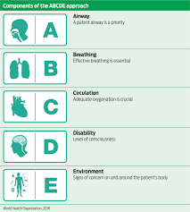 <p>A- Airway (1st)</p><p>B- Breathing</p><p>C- Circulation</p><p>D- Disability</p><p>E- Exposure</p>