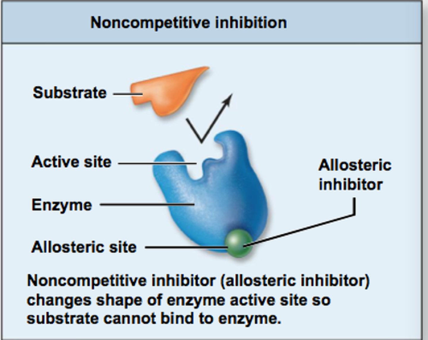 <p>Alters enzyme elsewhere.</p>