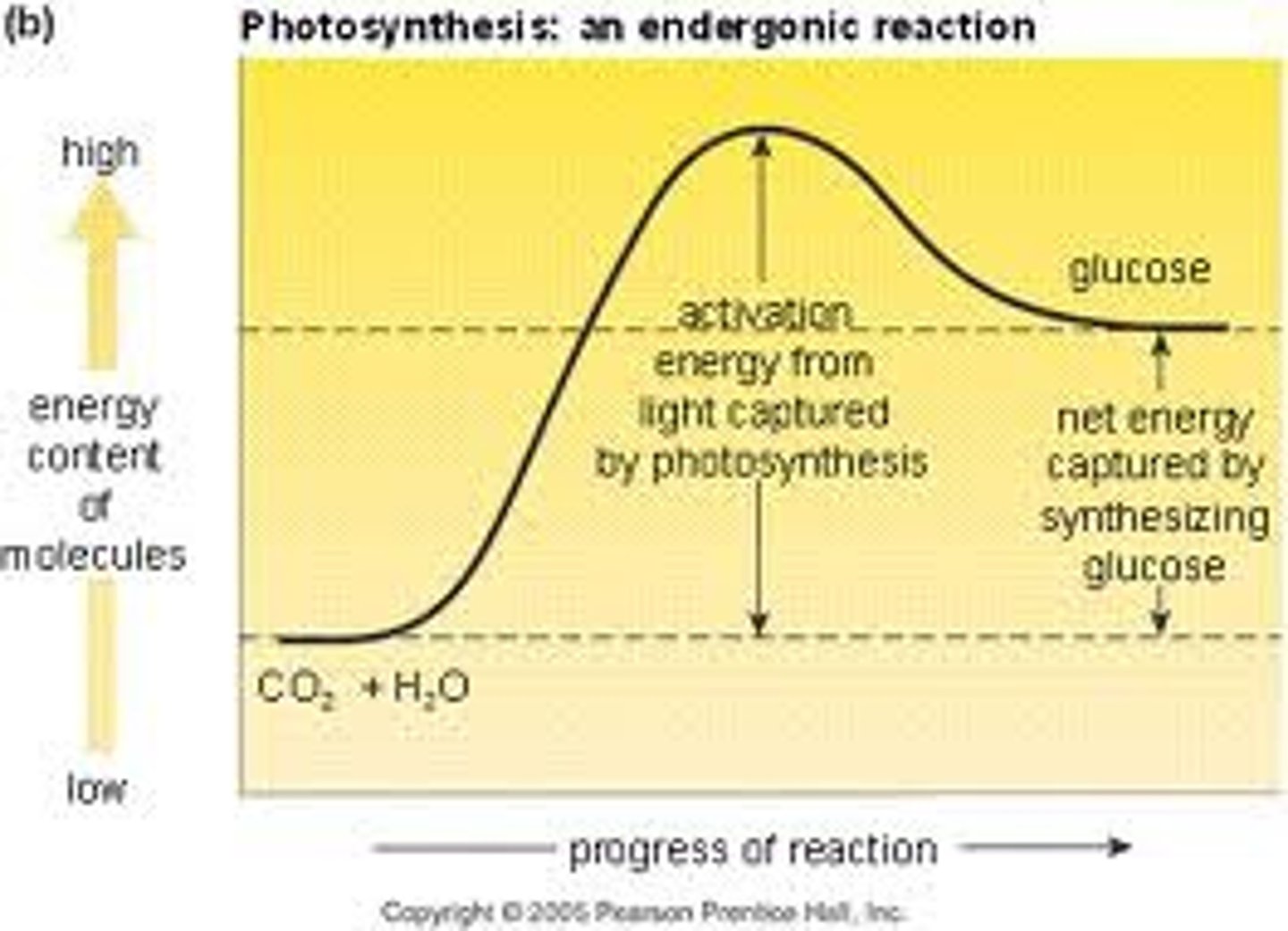 <p>Absorbs energy, nonspontaneous. Products > Reactants, so positive ∆G</p>