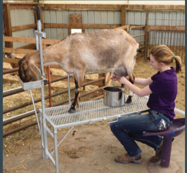 <p>individual handling </p>