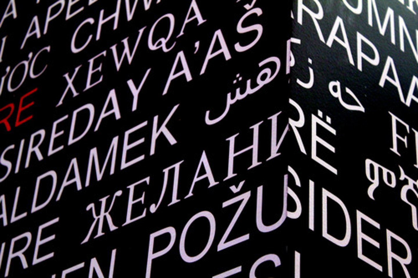 <p>Largest language family that includes English and most other languages in the Western Hemisphere. Also used in South and Southwest Asia.</p>