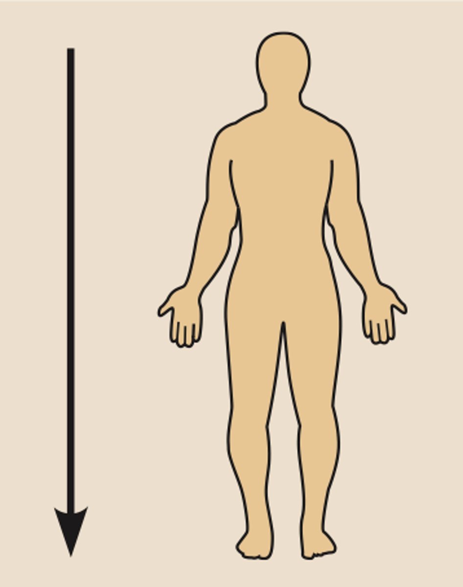 <p>away from the head</p>