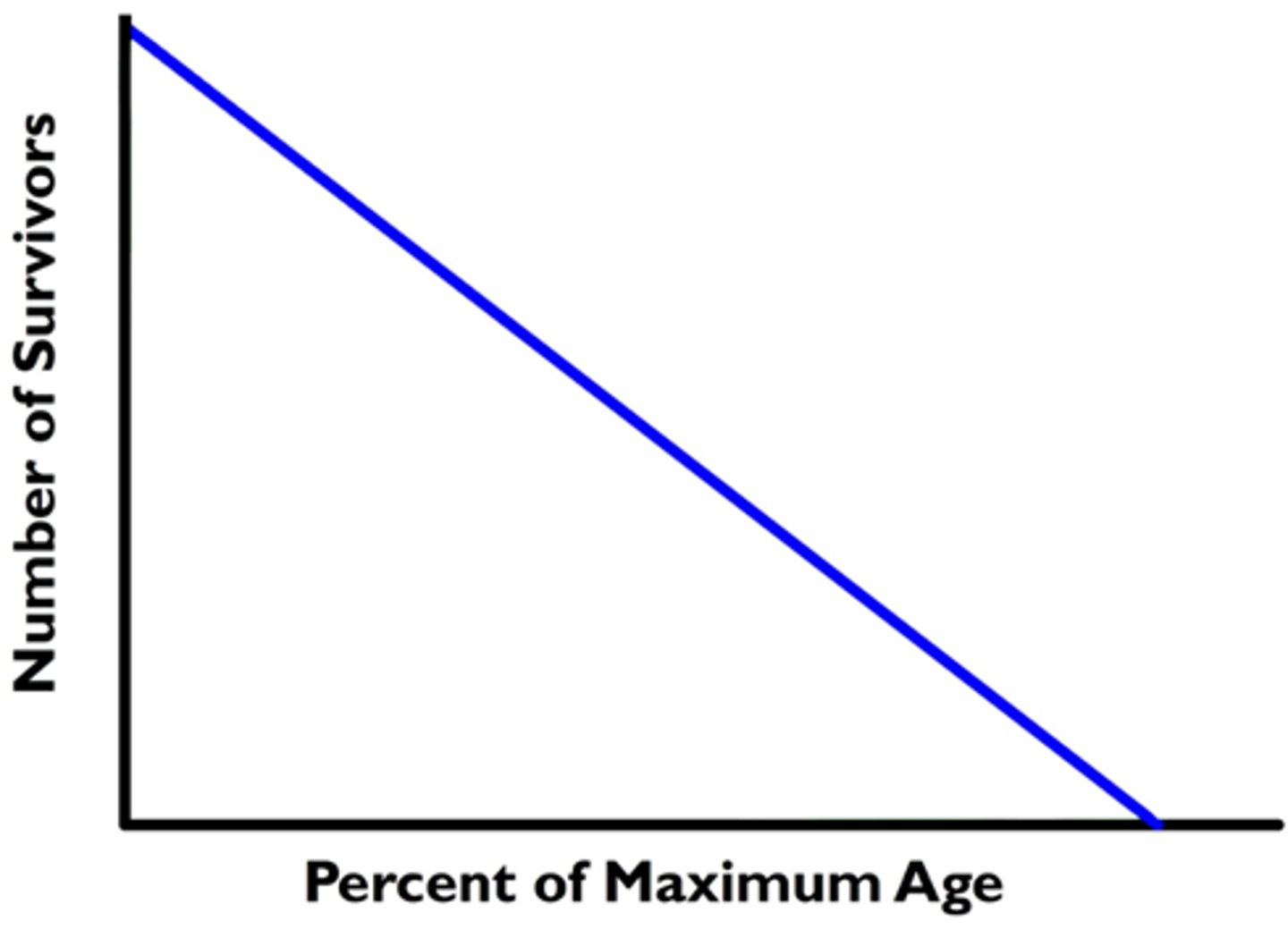 <p>a pattern of survival over time in which there is a relatively constant decline in survivorship throughout most of the life span</p>