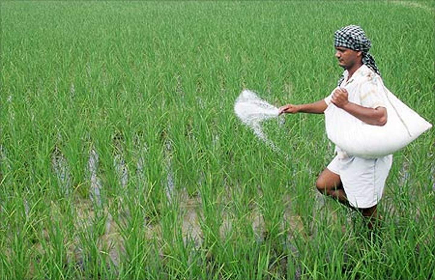 <ul><li><p>Derived from organic waste, which can be locally available</p></li><li><p>Increases the soil humus content</p></li><li><p>Increases soil biota populations</p></li></ul><p></p>