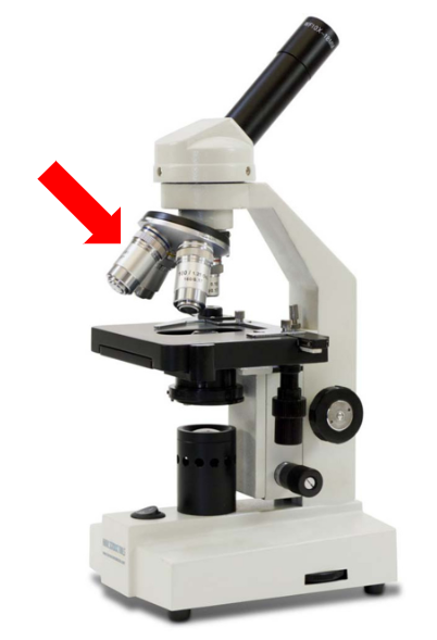 <p>What is this part called?</p>