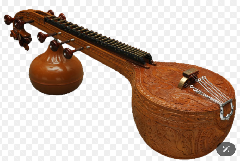 <p>A South Indian plucked string instrument used in Carnatic music.</p>