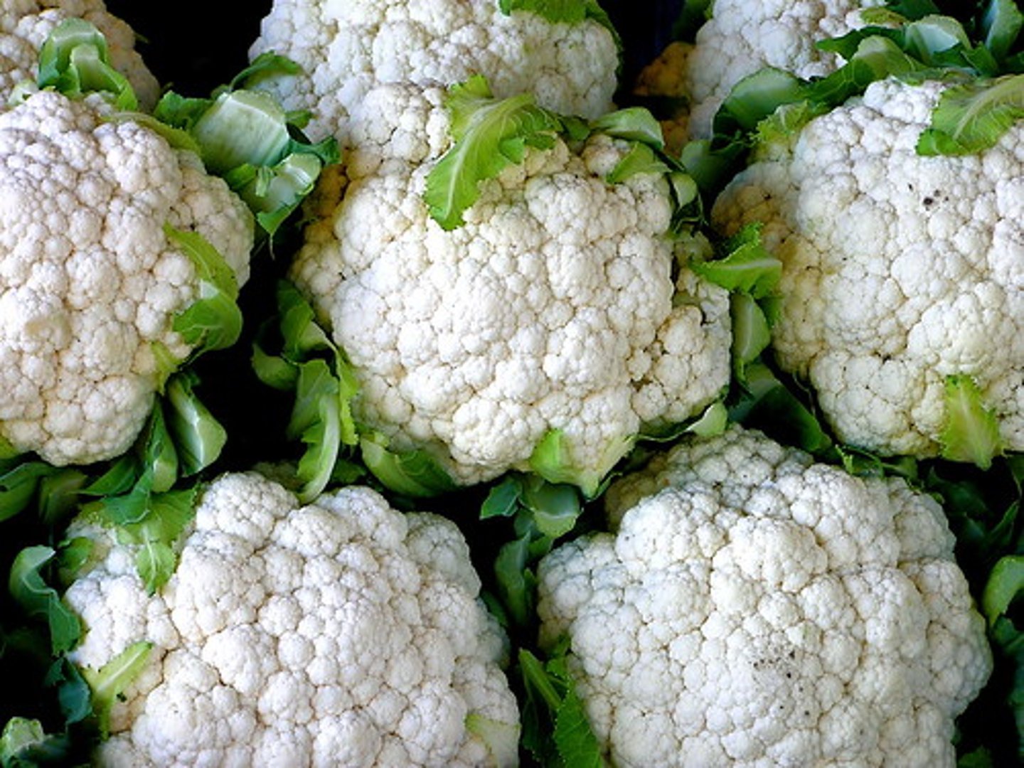 <p>cauliflower</p>