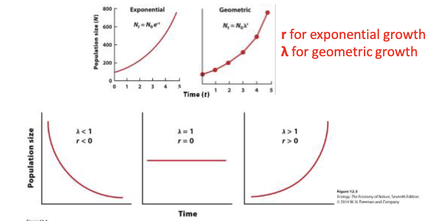 <p>Population decreasing&nbsp;<span style="color: rgb(246, 245, 245);">λ &lt; 1 and r &lt; 0</span></p><p><span style="color: rgb(246, 245, 245);">Population constnat λ = 1 and r = 0 </span></p><p><span style="color: rgb(246, 245, 245);">Population increase λ &gt; 1 and r &gt; 0 </span></p>