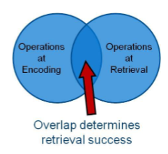 <ul><li><p>memory retrieval is better when there is overlap in some source with encoding</p></li><li><p>context overlap between learning and remembering</p><ul><li><p>context: internal state (ex. mood) or external envrionment</p></li></ul></li></ul><p></p>