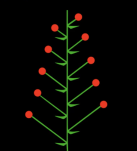 <p>What type of composite type is this?</p>