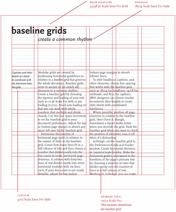 <p>Baseline Grid</p>