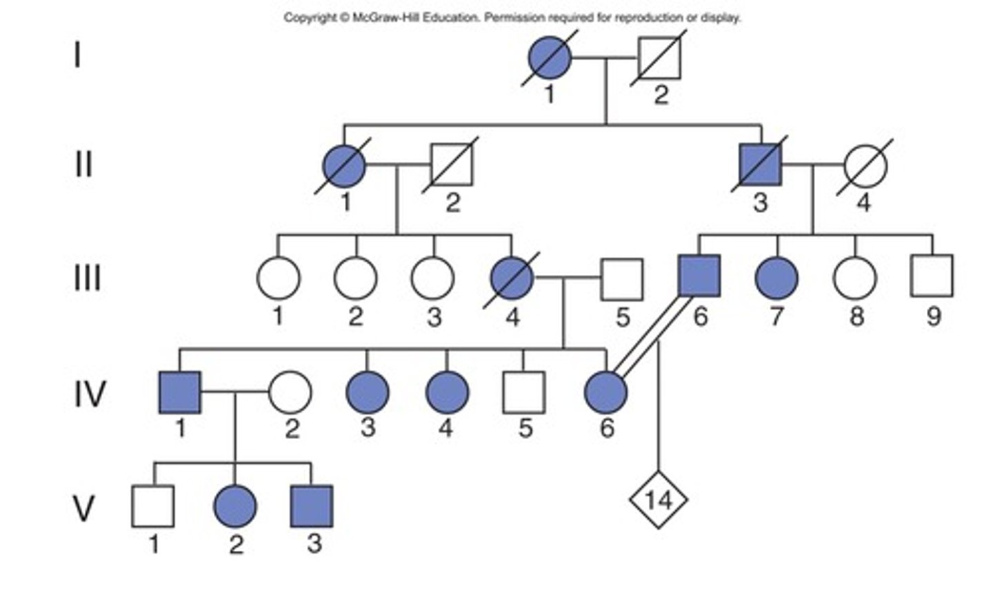 <p>rare dominant trait</p>