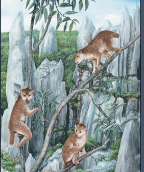 knowt flashcard image