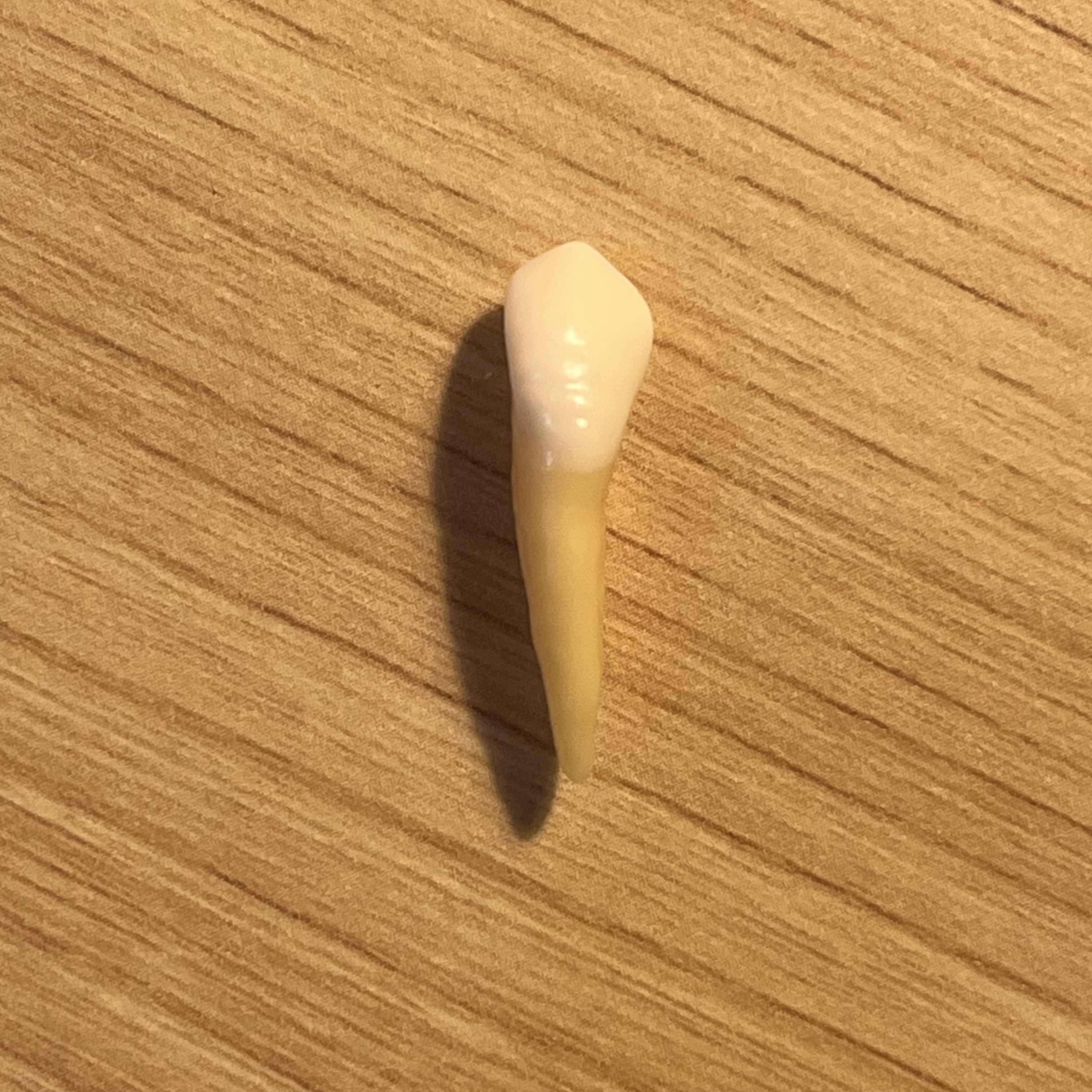 <p>What tooth is this (with view)?</p>