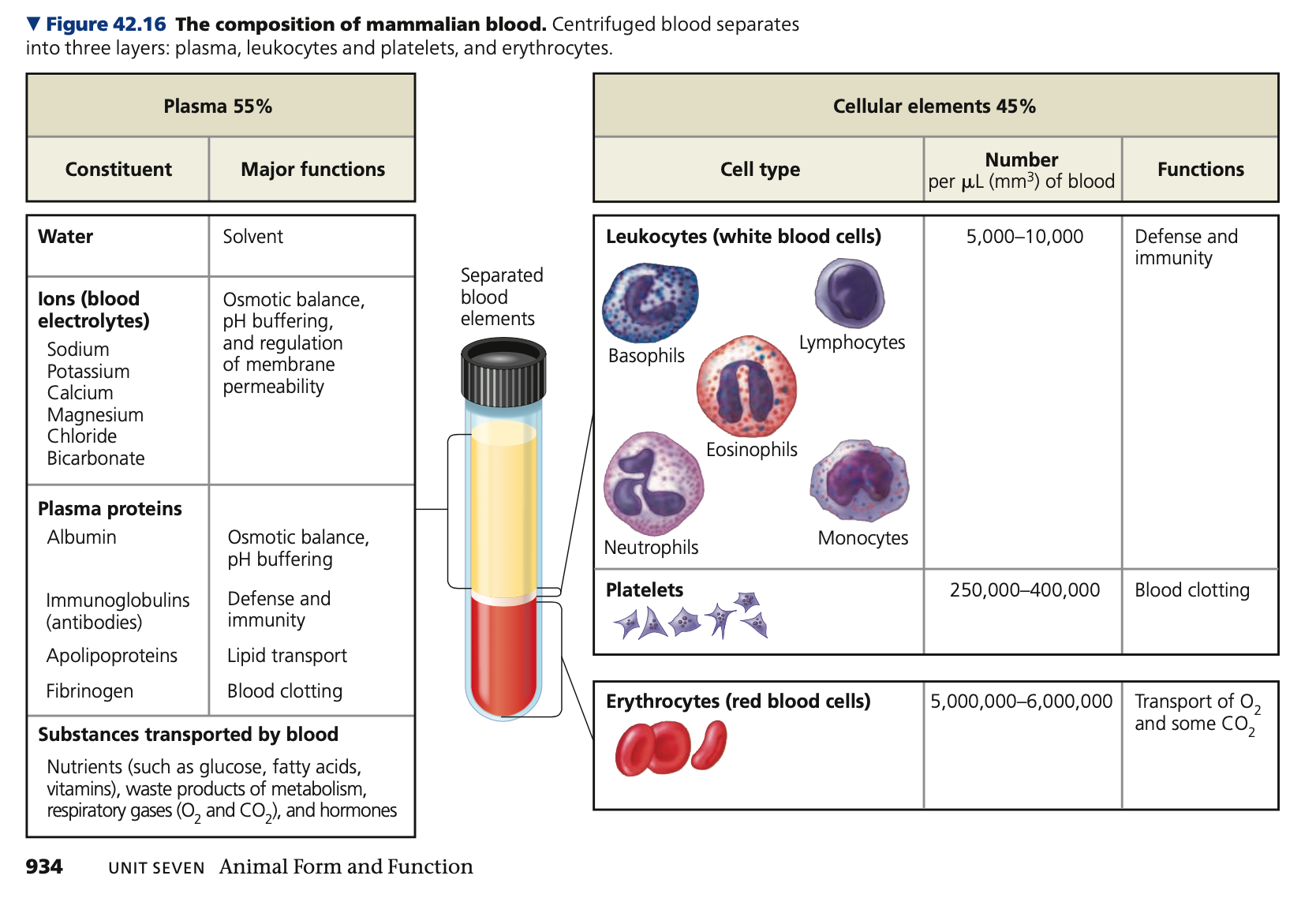 <p><strong>Blood Composition and Function</strong></p><ul><li><p>Vertebrate blood is a connective tissue consisting of cells suspended in a liquid matrix called <strong>_____</strong></p></li><li><p>Cellular elements - ~45% of the blood volume, and the remainder is plasma</p></li></ul>