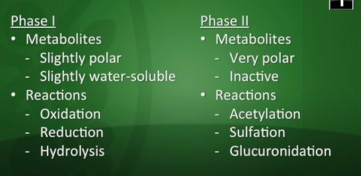 <p>true. phase 2 reactions can get behind/ run out of conjugation molecules, leading to more free radicals= necrosis, inflammation</p>