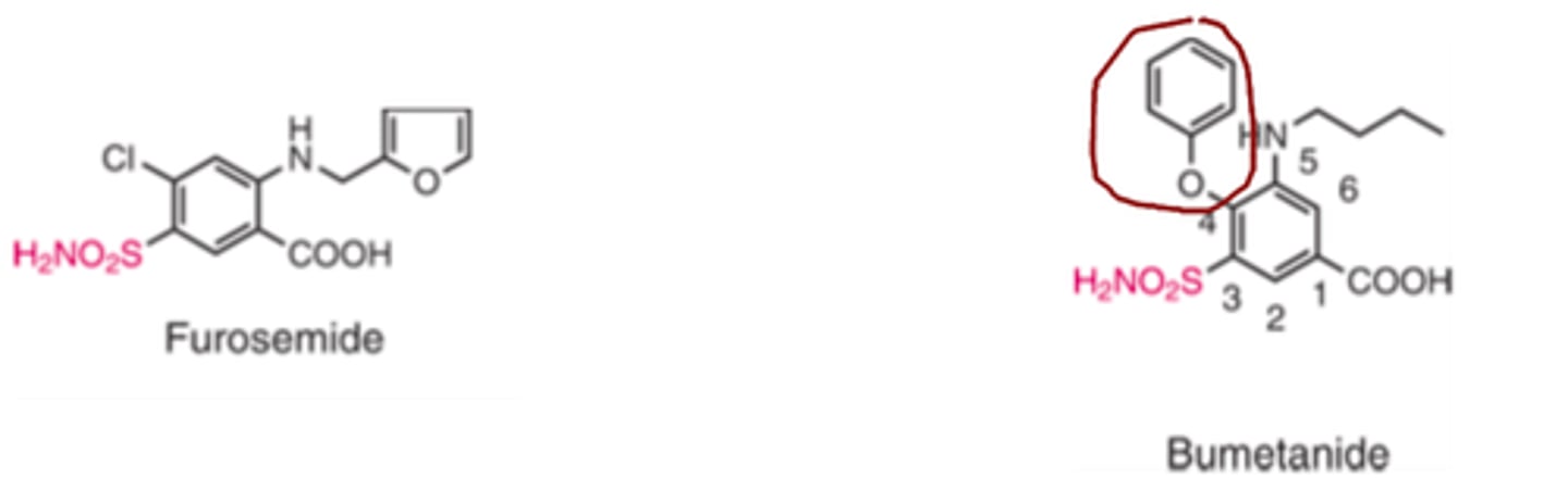 <p>- phenoxy (electron-withdrawing group)</p>