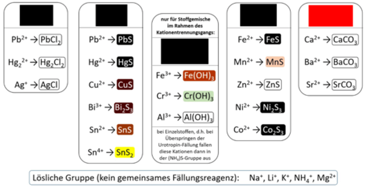 <p>Kationen-Gruppenreaktion 5</p>