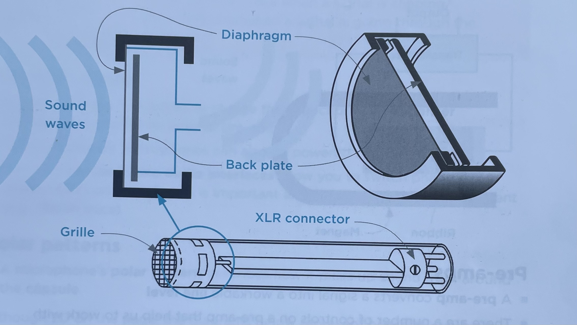knowt flashcard image